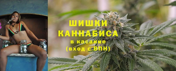 2c-b Гусев