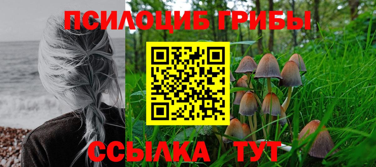 Галлюциногенные грибы прущие грибы Донецк