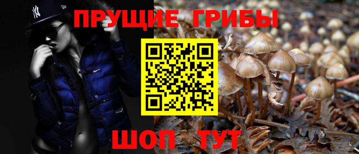 Псилоцибиновые грибы Psilocybine cubensis  Псилоцибиновые грибы Magic Shrooms  Донецк  Вход с VPN 